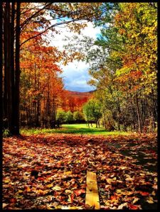 62550_436496573065360_486789244_n