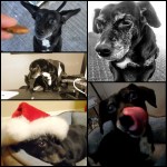 Photo Oct 23, 2 58 58 PM