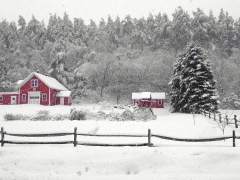 Photo Dec 29, 9 07 51 PM