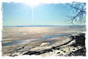 10174919_10152040137081732_60737826_n