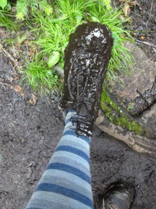Yeah the mud was sneaky. What looks like solid trail may suck your foot in.
