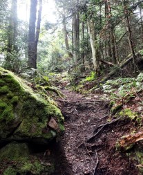 WA White Trail to Lower Wolfjaw