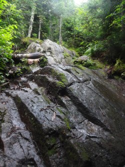 And the scrambles begin. They start out small and fun. 