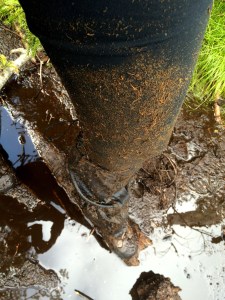 Mud up to my thighs. No problem.