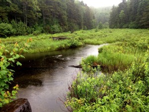 outlet to Harkness Lake