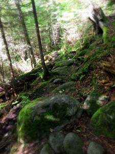 Saddleback and Basin