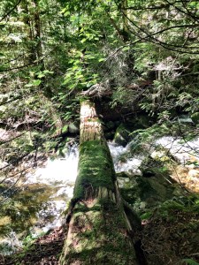 Saddleback and Basin