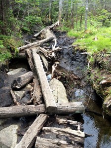 Poor broken bridge. Now a muddy, wet mess. 