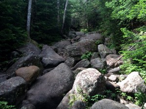 Gotta love that footing. 