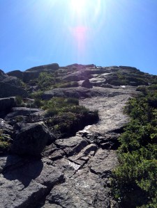 The last half is open face summit that just keeps climbing by following a series of cairns