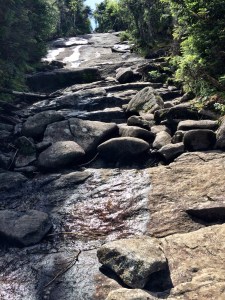 A slide that just kept going and going. A few peeps going down used the very technical butt slide technique 