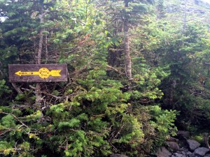 This is the dumb arrow that in the quick pace I went left following the big yellow arrow. But in fact the trail is just to the right. 